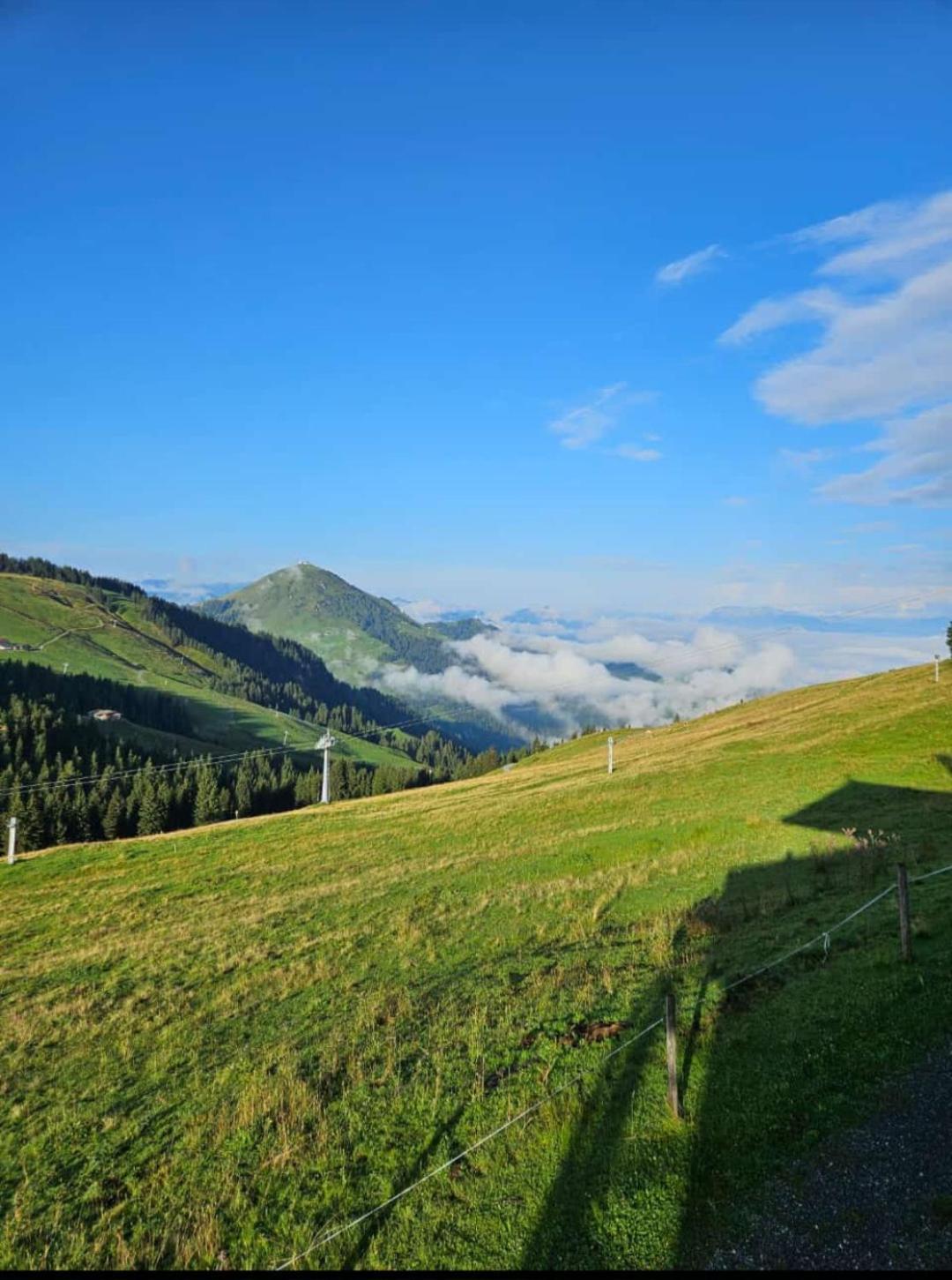 Ferienwohnung Sappl Scheffau am Wilden Kaiser Exterior photo